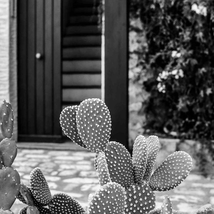 Photo of Others in Campofelice di Roccella