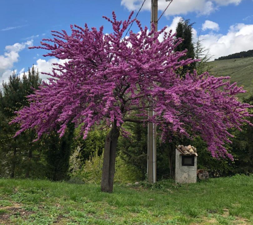 Photo of Outdoor in Santo Stefano Quisquina