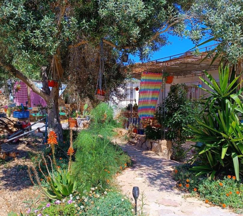 Photo of Others in Lampedusa