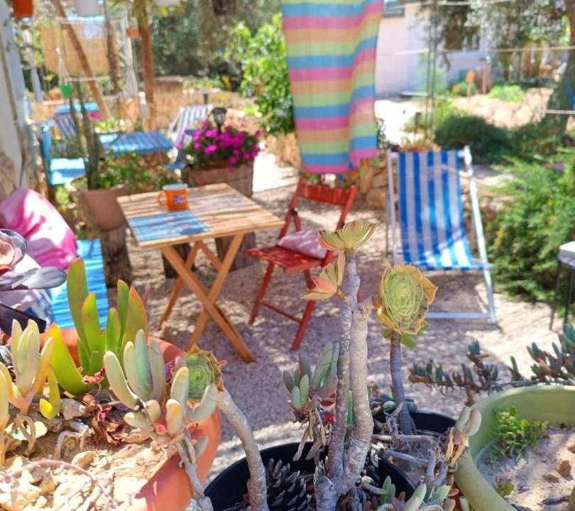 Photo of Others in Lampedusa