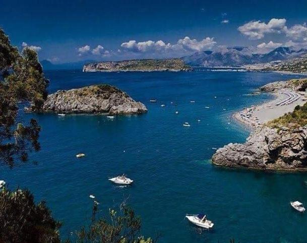 Photo of Others in San Nicola Arcella