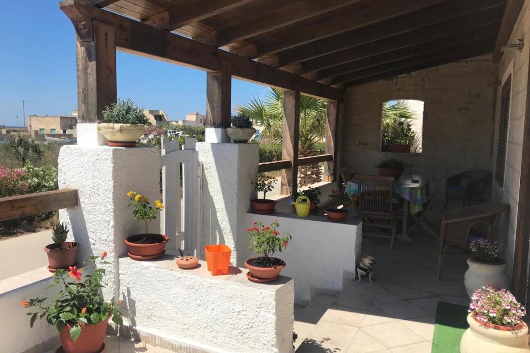 Photo of Others in Favignana