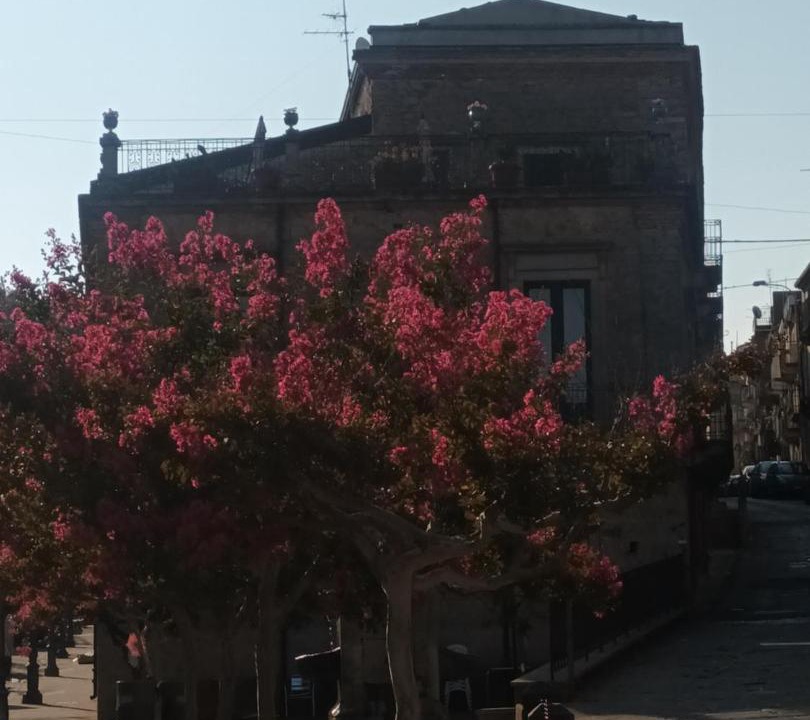 Photo of Others in Montalbano Elicona