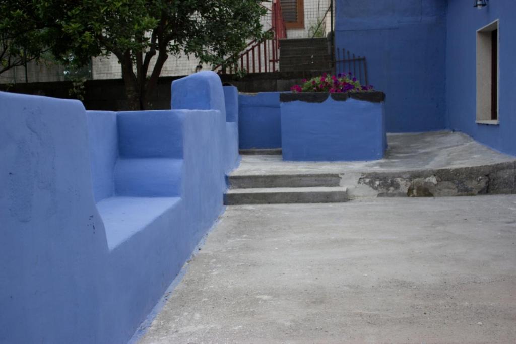 Photo of Others in Macchia