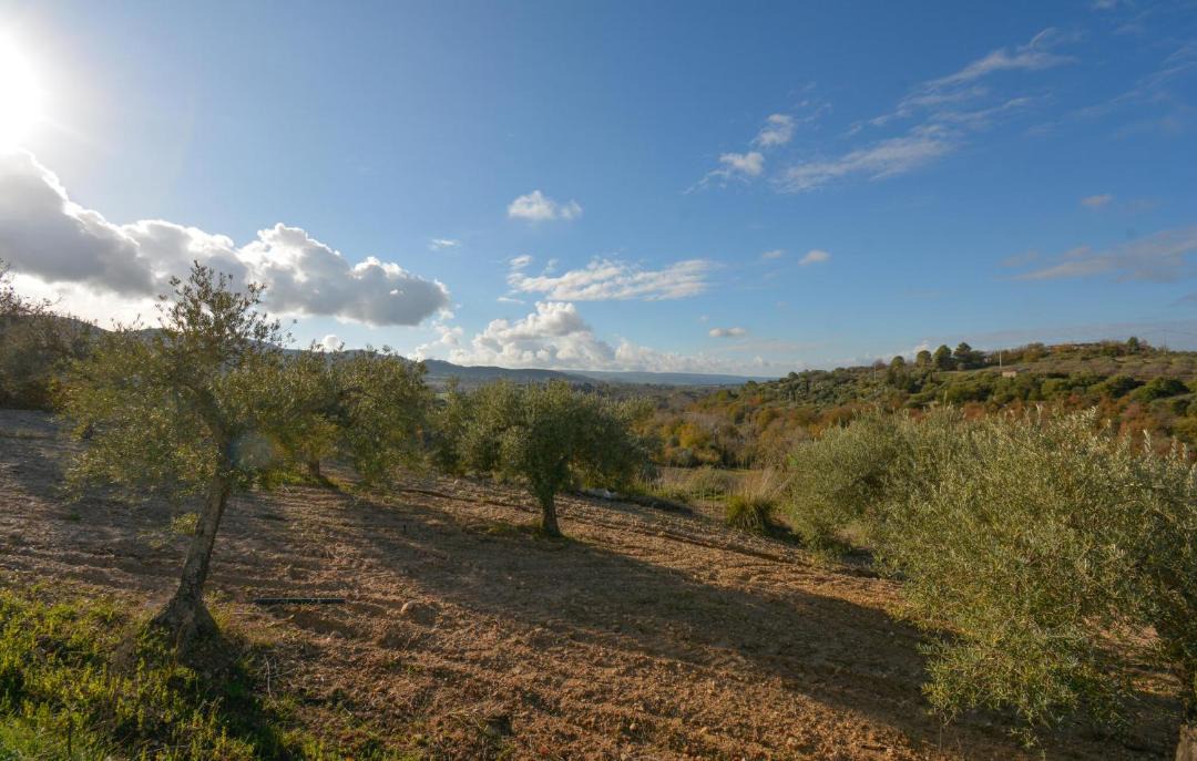 Photo of Others in Chiaramonte Gulfi