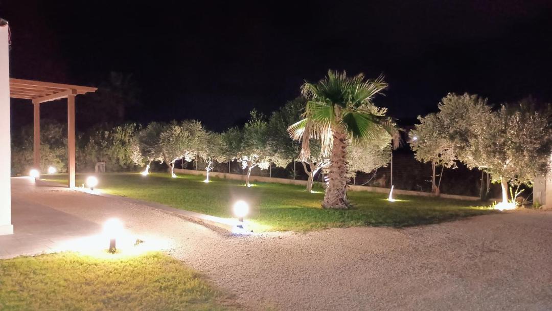 Photo of Others in Marsala