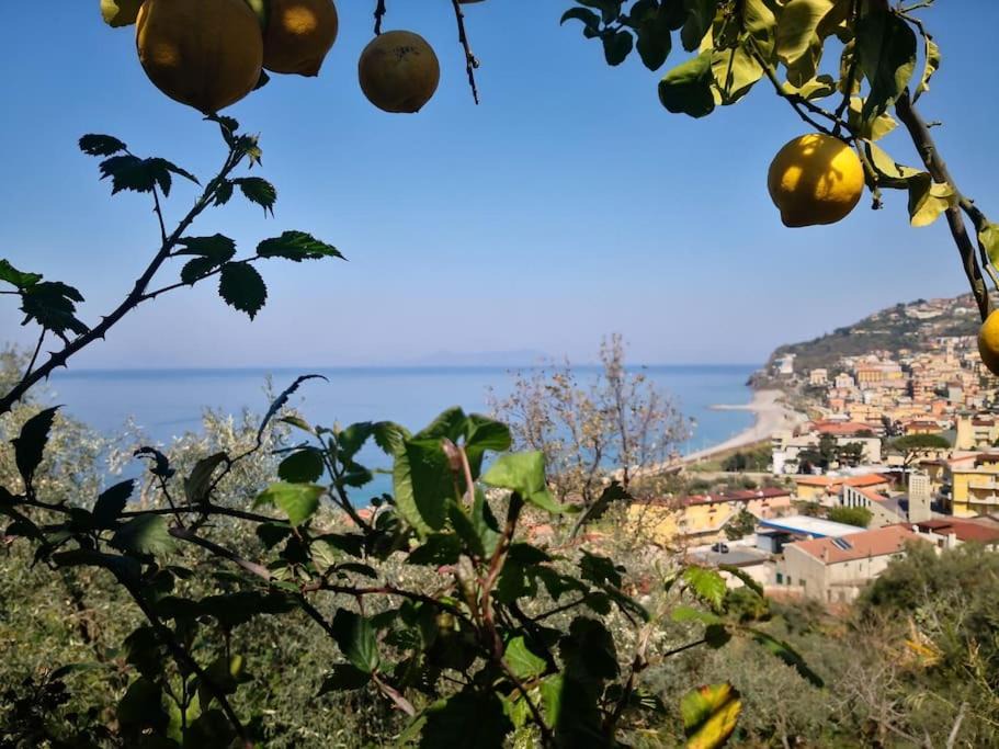 Photo of Others in Piraino