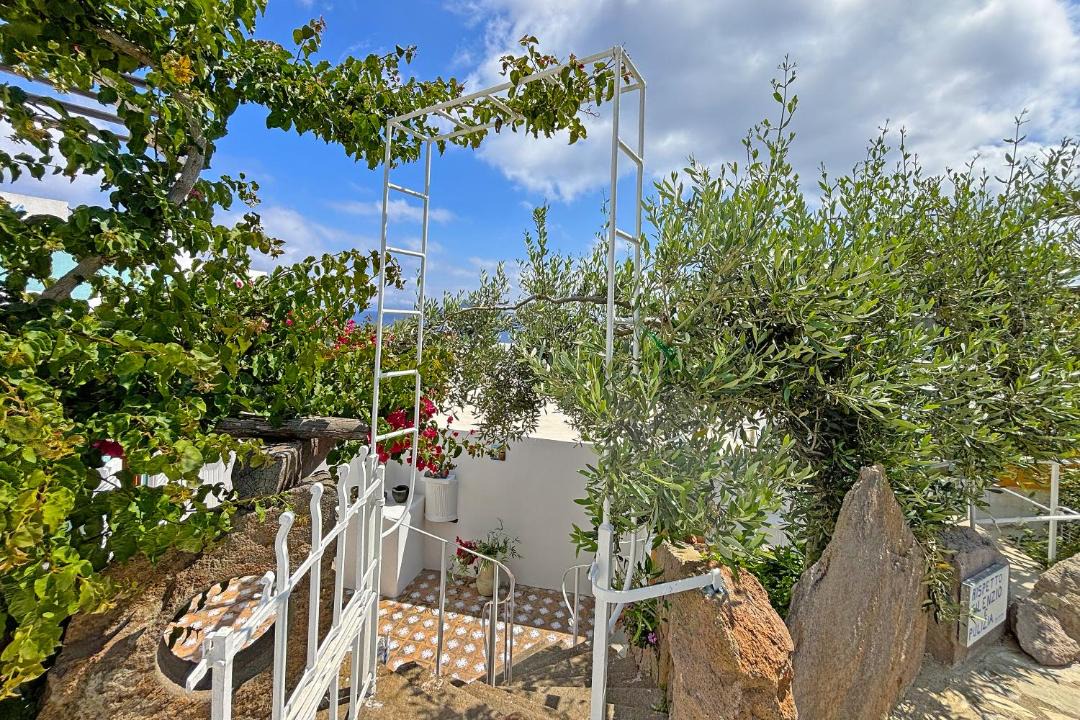 Photo of Others in Panarea
