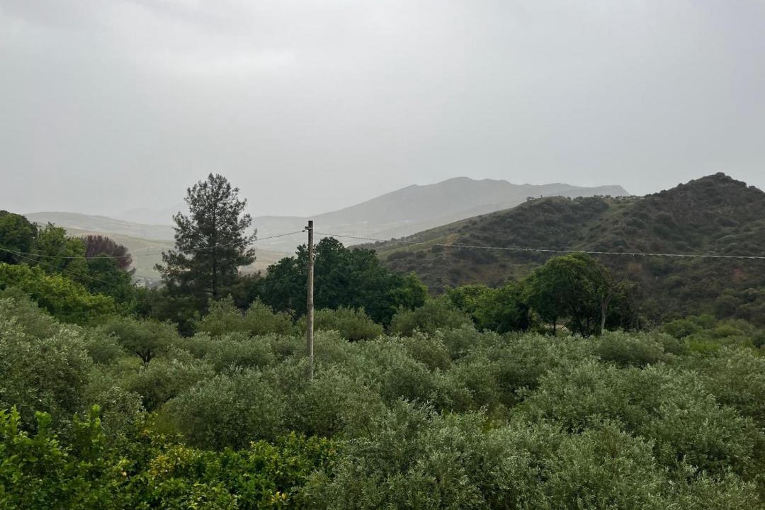 Photo of Others in Calatafimi