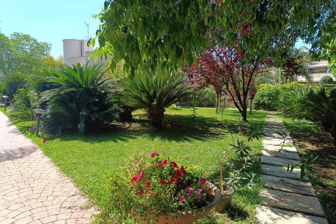 Photo of Others in Palermo