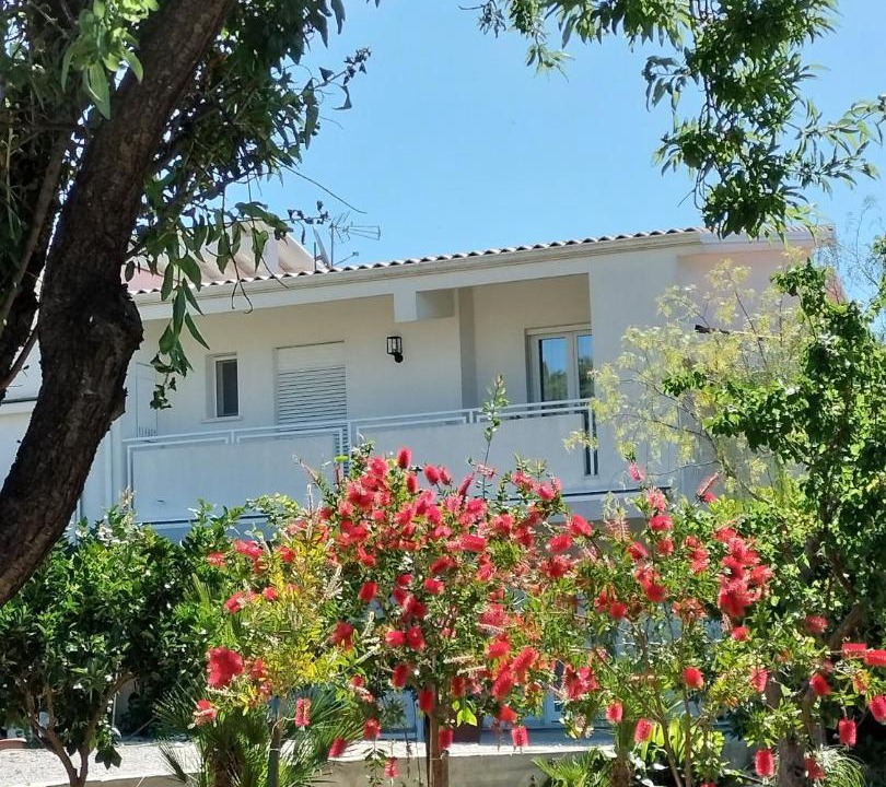 Photo of Others in Santa Ninfa