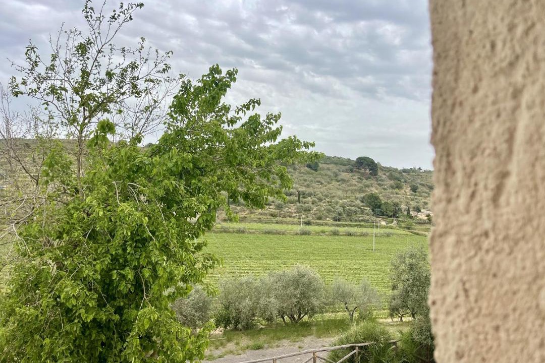 Photo of Others in Caltagirone
