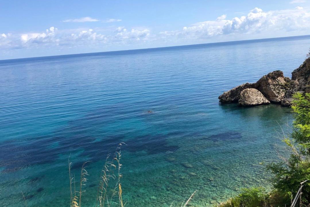 Photo of Others in Scopello