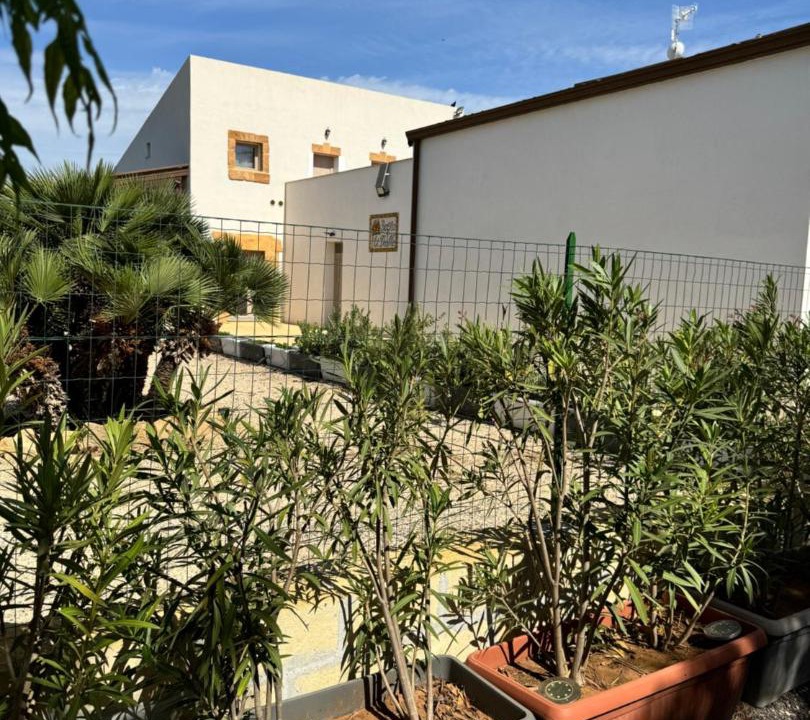 Photo of Others in Marinella di Selinunte