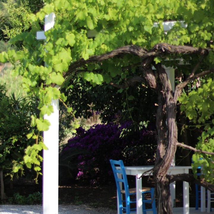 Photo of Others in Tropea