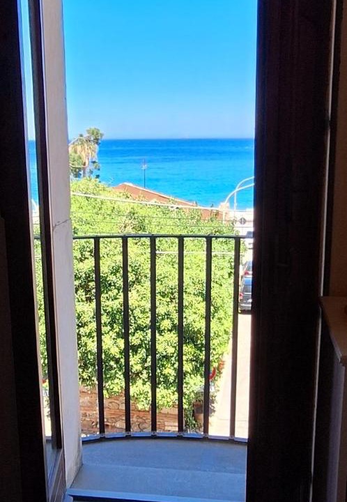 Photo of Others in Scilla