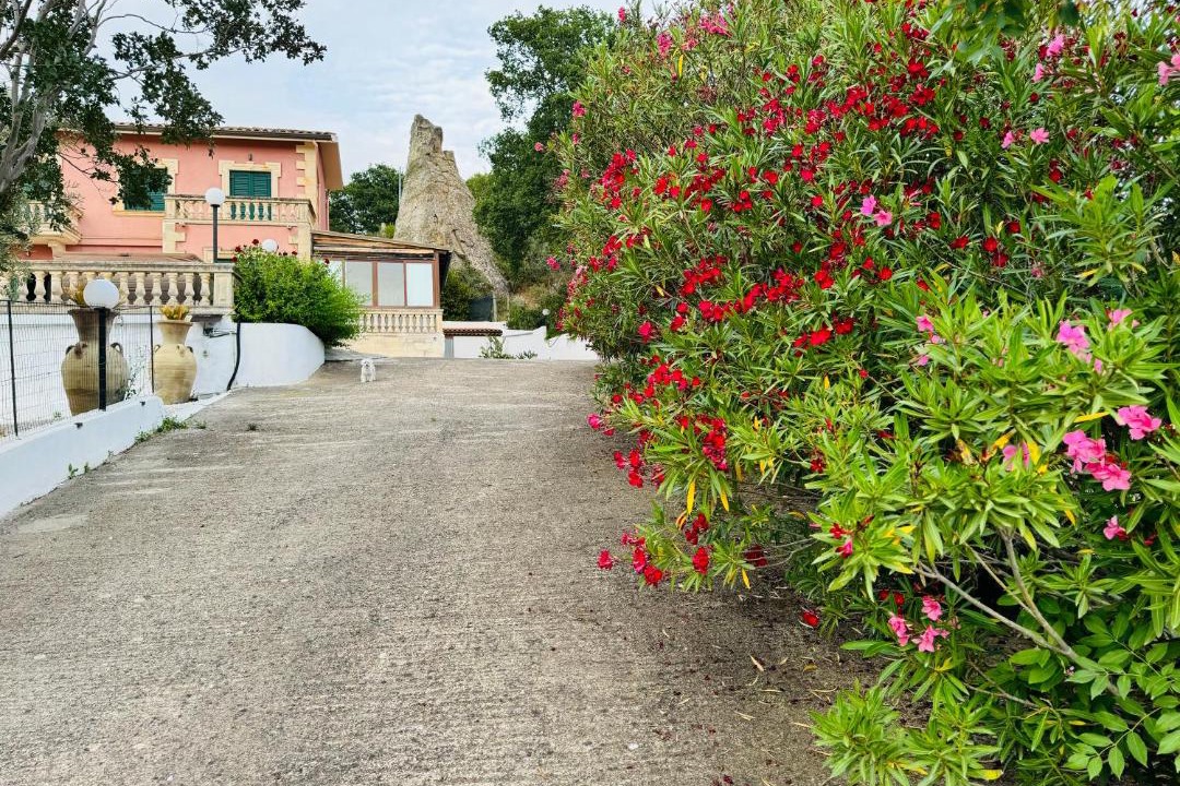 Photo of Others in Nicosia