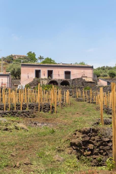 Photo of Others in Mascali