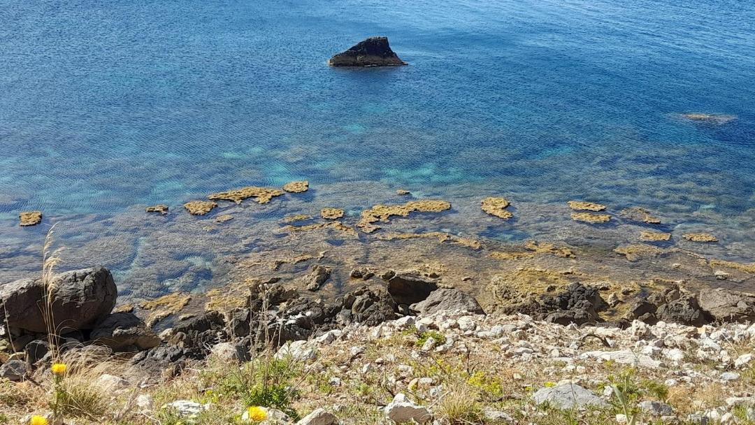 Photo of Others in Sferracavallo