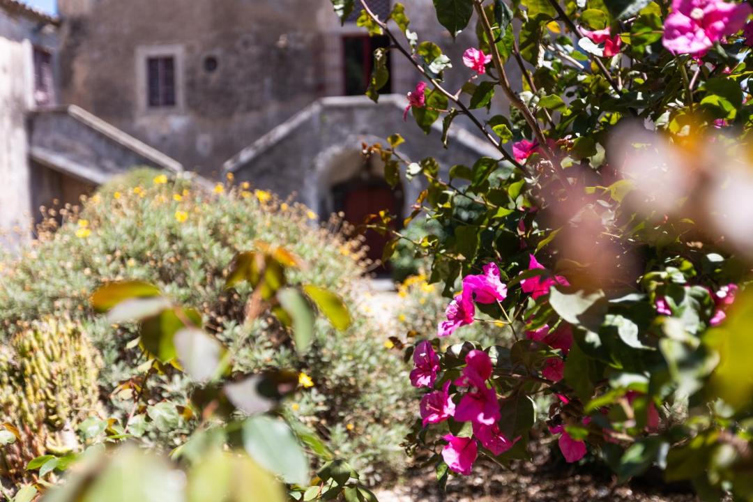 Photo of Others in Viagrande
