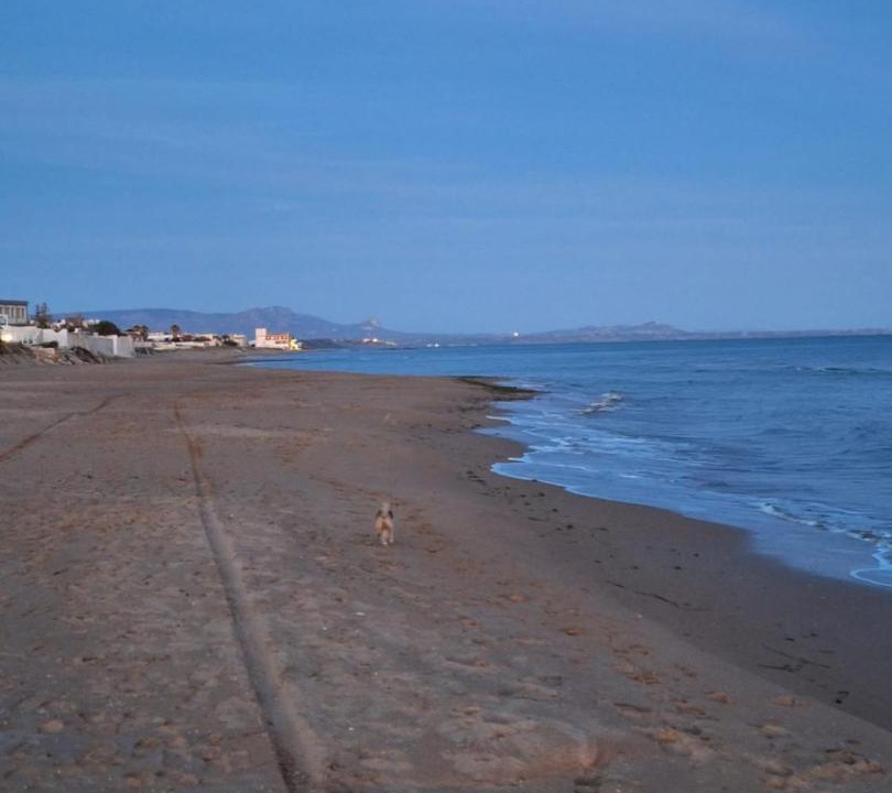 Photo of Others in Triscina