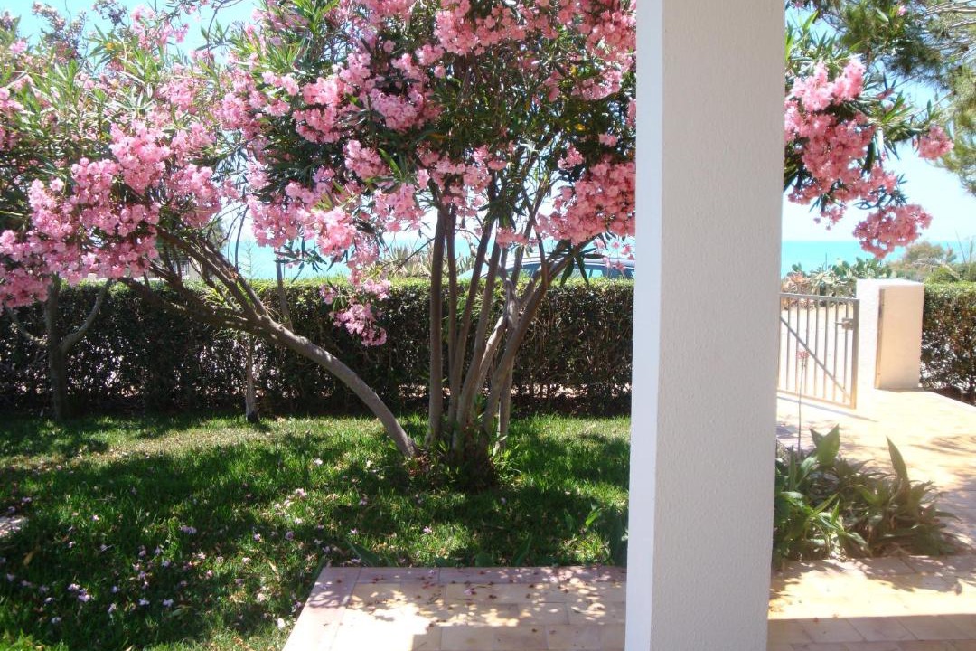 Photo of Patio Balcony in Punta Braccetto