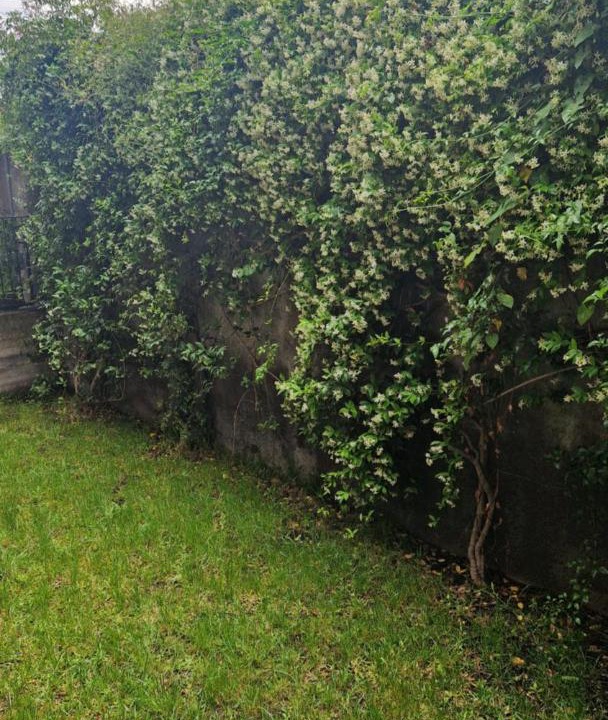 Photo of Others in Giarre