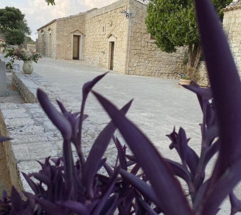 Photo of Others in Noto