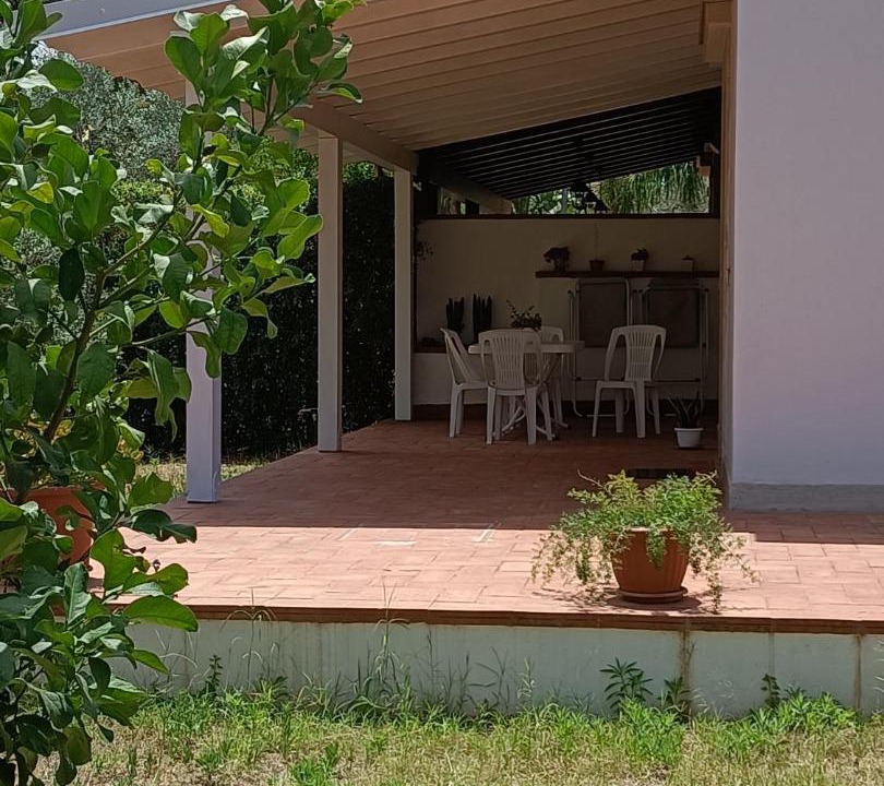 Photo of Buildings in Terrasini