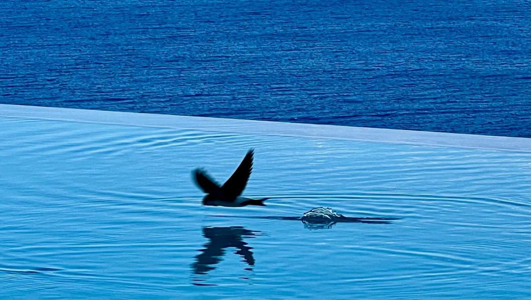 Photo of Others in Taormina