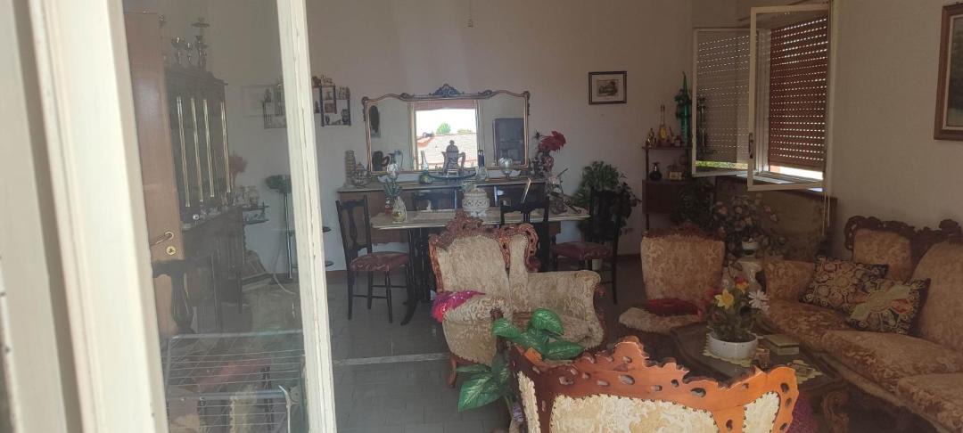 Photo of Livingroom in Ribera