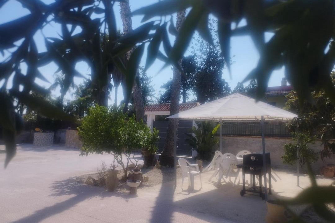 Photo of Others in Arenella