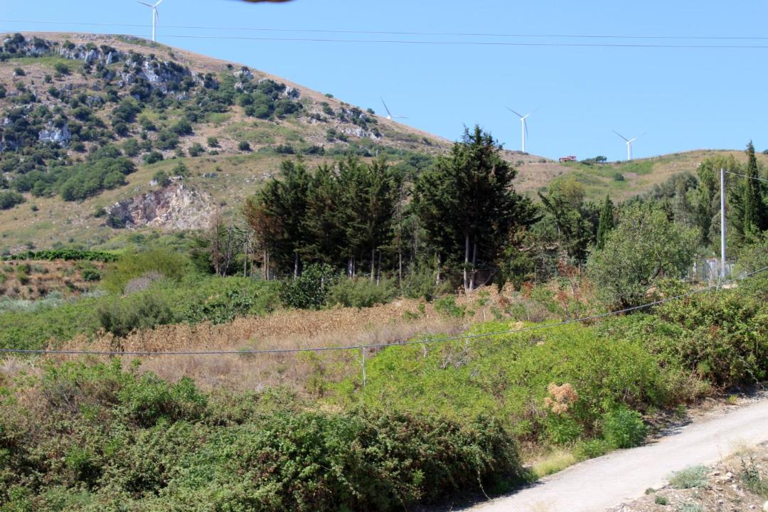 Photo of Outdoor in Bolognetta