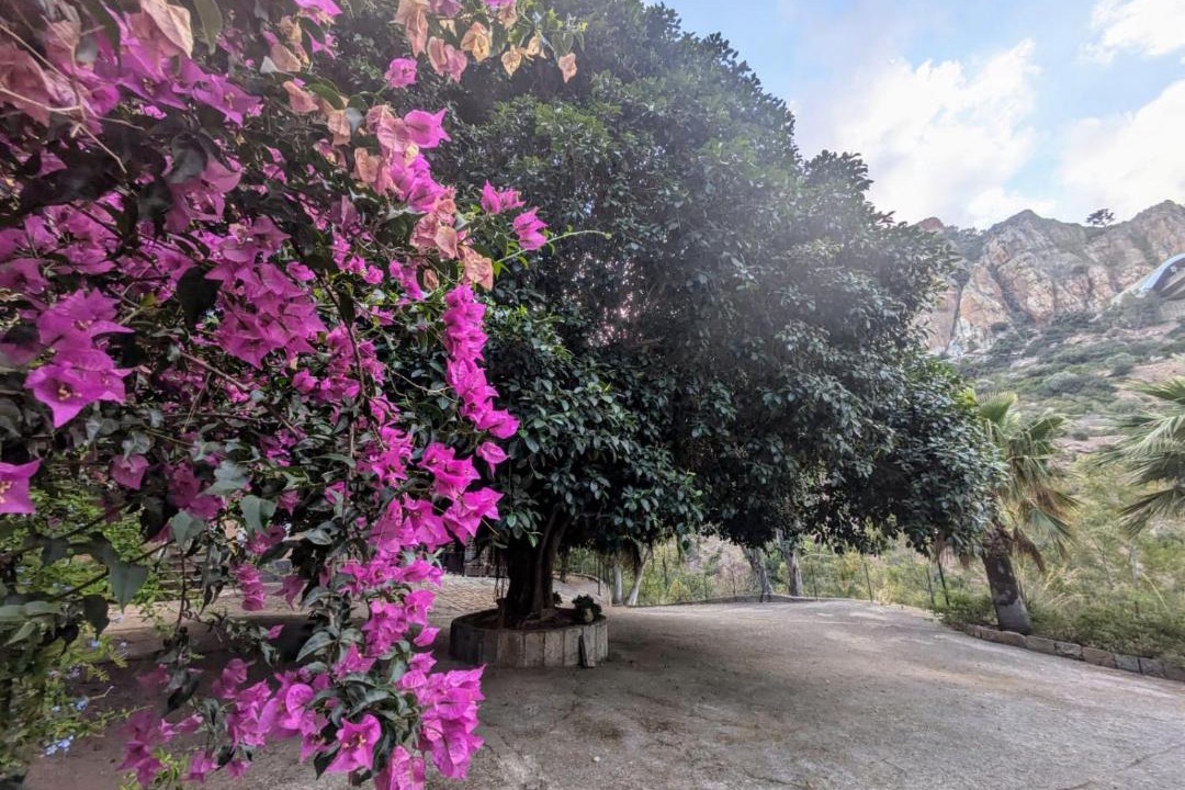 Photo of Others in Pollina