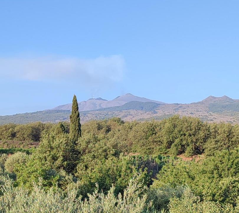 Photo of Outdoor in Rovittello