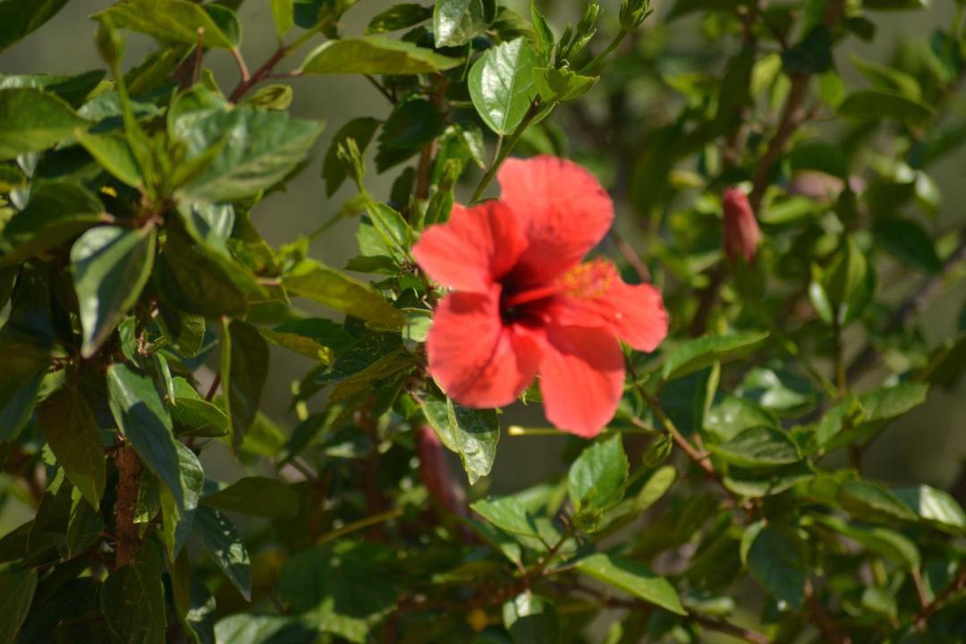 Photo of Outdoor in Pollina