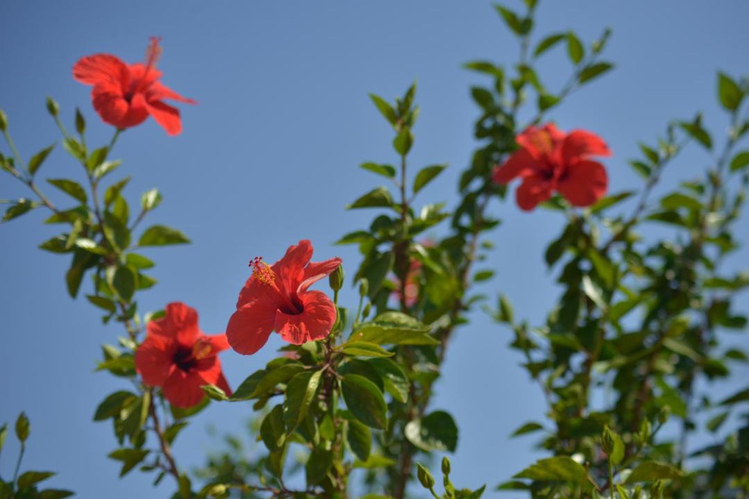 Photo of Outdoor in Pollina