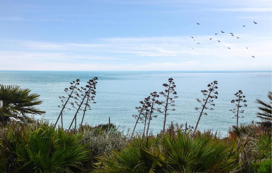 Photo of Others in Punta Secca