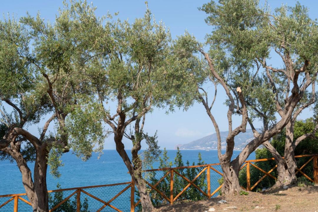 Photo of Others in Capo d'Orlando