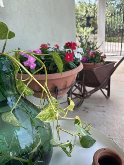 Photo of Patio Balcony in Sant'Agata di Militello