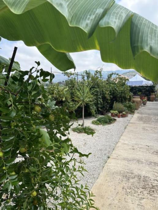 Photo of Outdoor in Sant'Agata di Militello