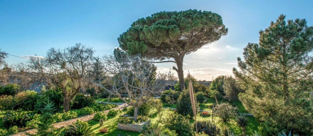Photo of Others in Ragusa