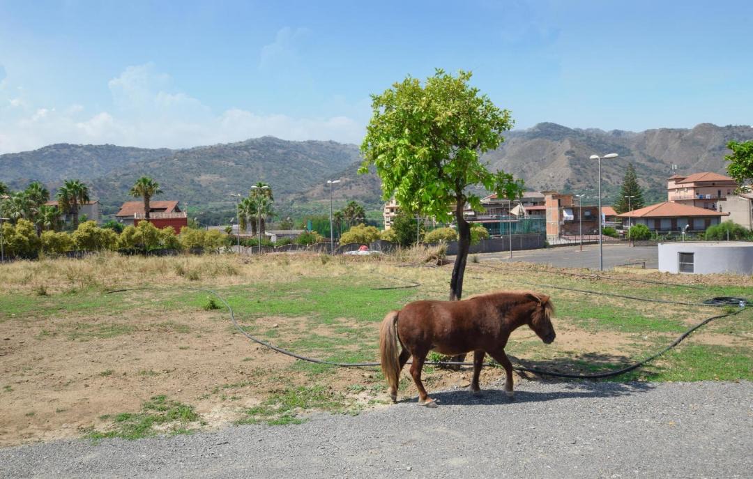 Photo of Others in Gaggi