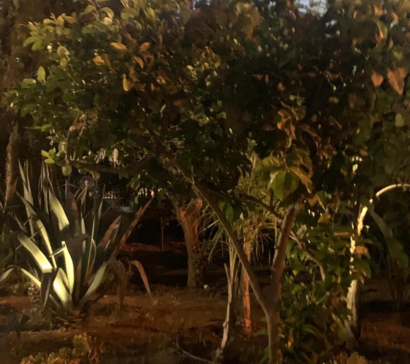 Photo of Outdoor in Trabia