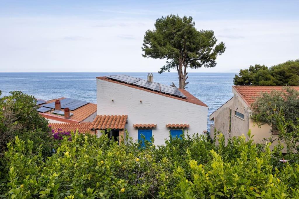 Photo of Others in Capo Zafferano