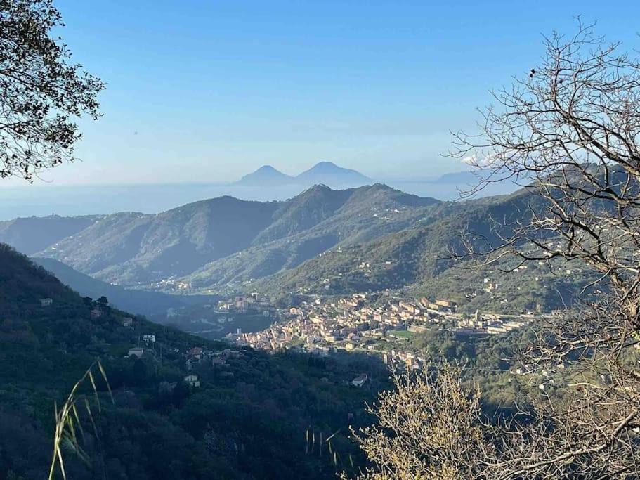 Photo of Others in Sant'Angelo di Brolo