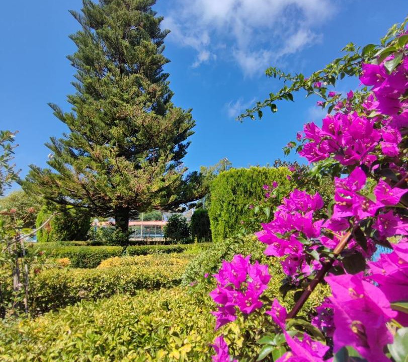Photo of Outdoor in Falcone
