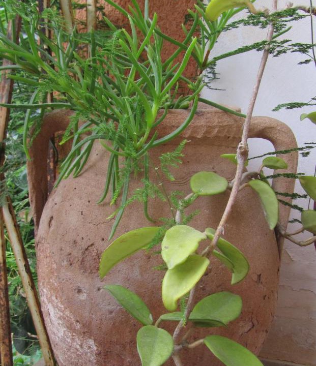 Photo of Patio Balcony in Paparella