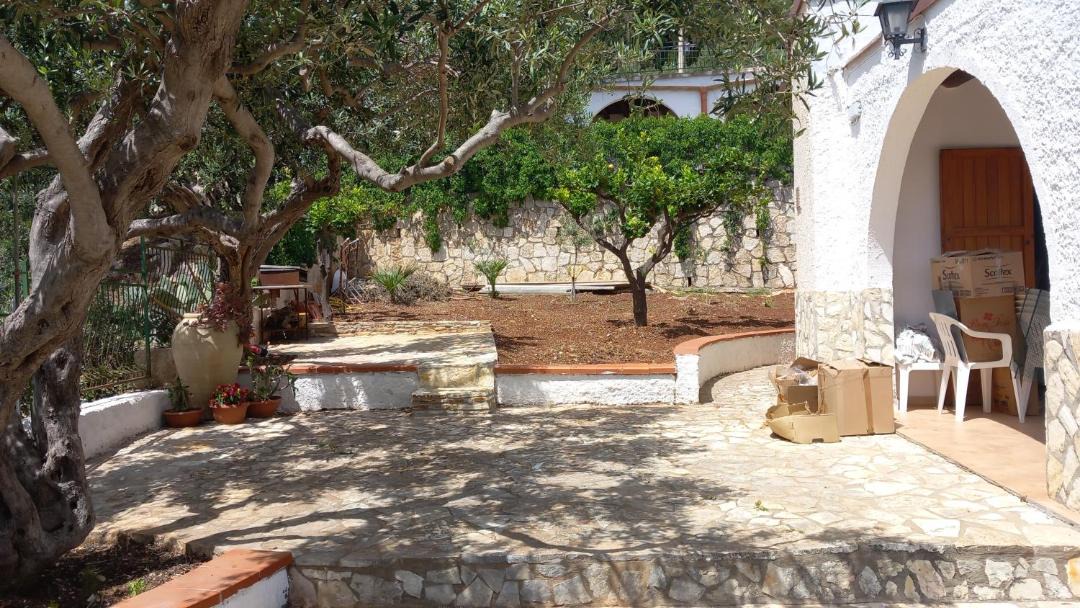 Photo of Others in Scopello