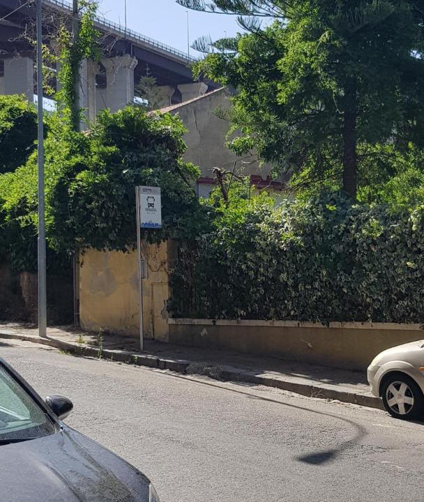 Photo of Others in Province of Messina